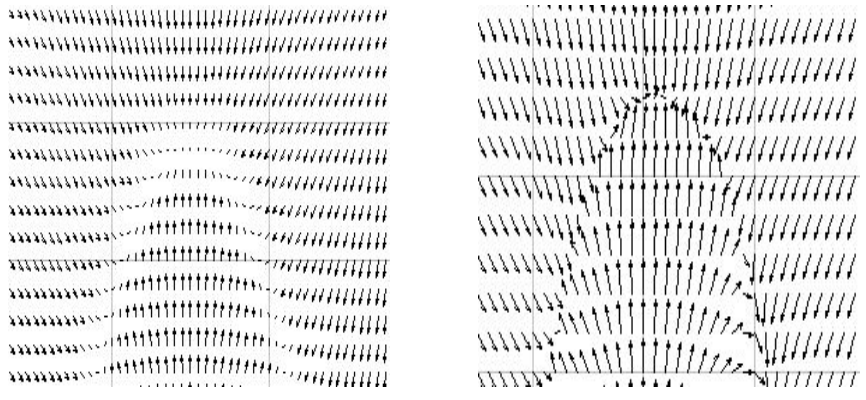 Computed Vector Fields