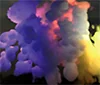 Volumetric Inverse Rendering via Neural Radiative Transfer